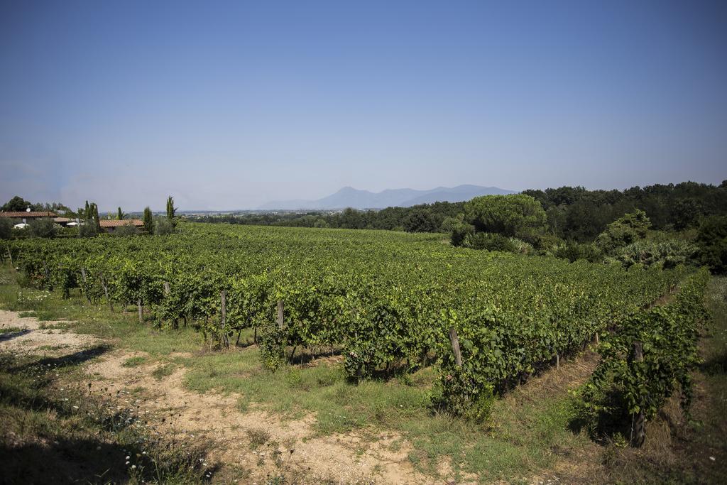 Agriturismo Gli Archi Fauglia Экстерьер фото