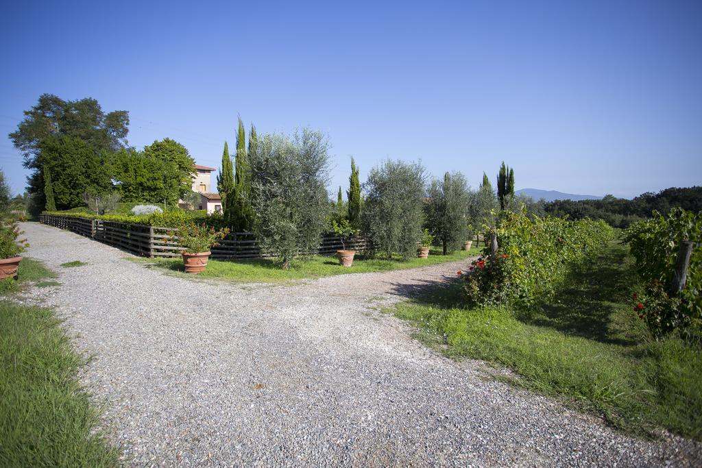 Agriturismo Gli Archi Fauglia Экстерьер фото