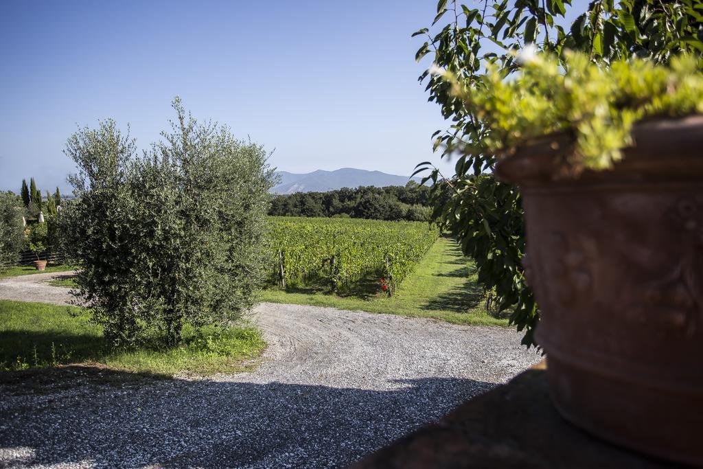 Agriturismo Gli Archi Fauglia Экстерьер фото