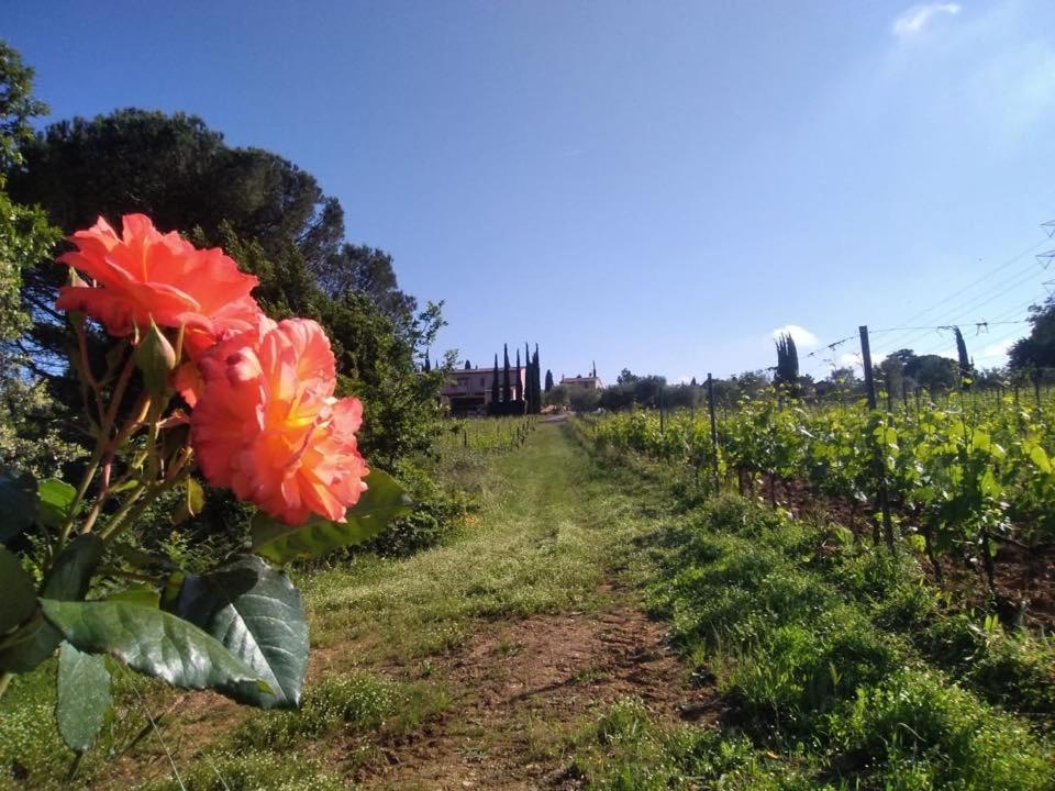 Agriturismo Gli Archi Fauglia Экстерьер фото