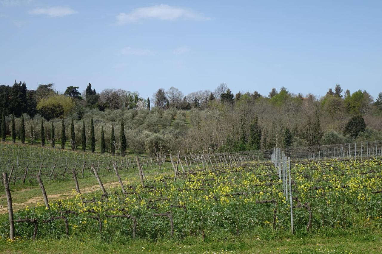 Agriturismo Gli Archi Fauglia Экстерьер фото