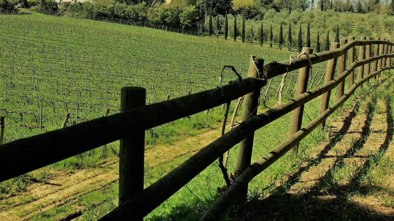 Agriturismo Gli Archi Fauglia Экстерьер фото